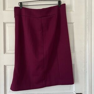 Ann Taylor | NWOT Pencil Skirt